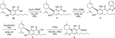 Synthesis and biological evaluation of hydroxamate isosteres of acidic cannabinoids